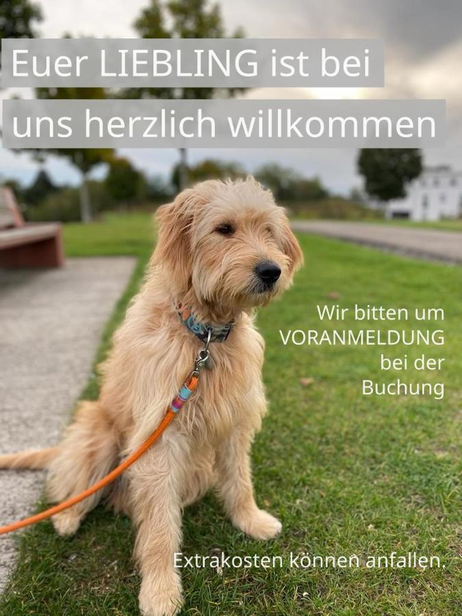 Fewo Timon Grosszuegig Modern Mit Terrasse Ca 50 Qm Hamm  Zewnętrze zdjęcie